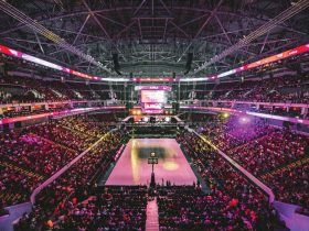 3 Cosas que aprendí de Great Popovic